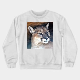 Female Mountain Lion Crewneck Sweatshirt